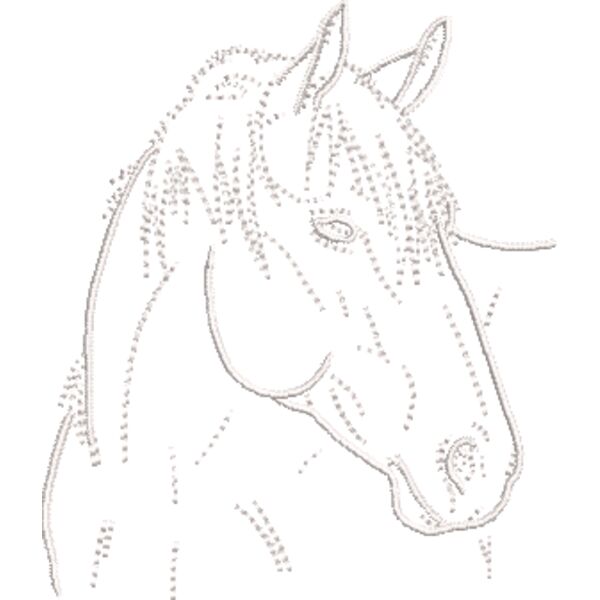 Pferd 15 Weiß Miniaturansicht