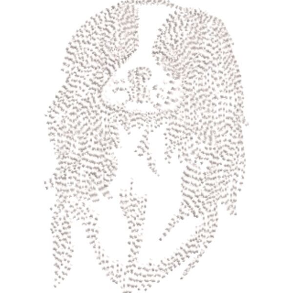 King Charles Spaniel Weiß Miniaturansicht