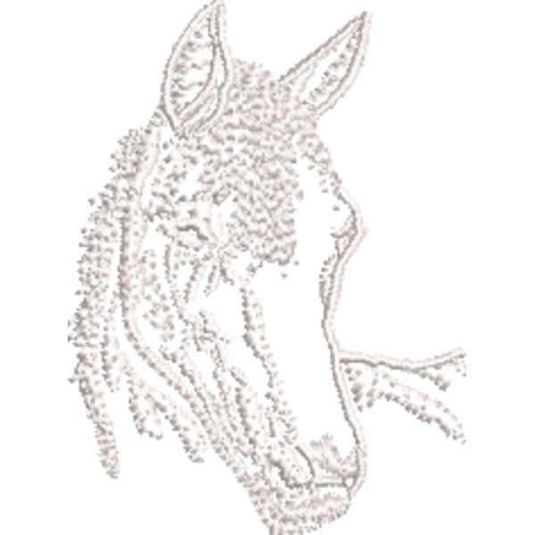Pferd 2 Weiß Miniaturansicht