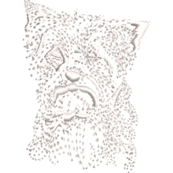 Yorkshire Terrier Weiß Miniaturansicht