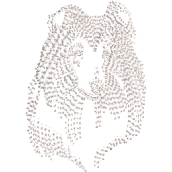 Collie Weiß Miniaturansicht