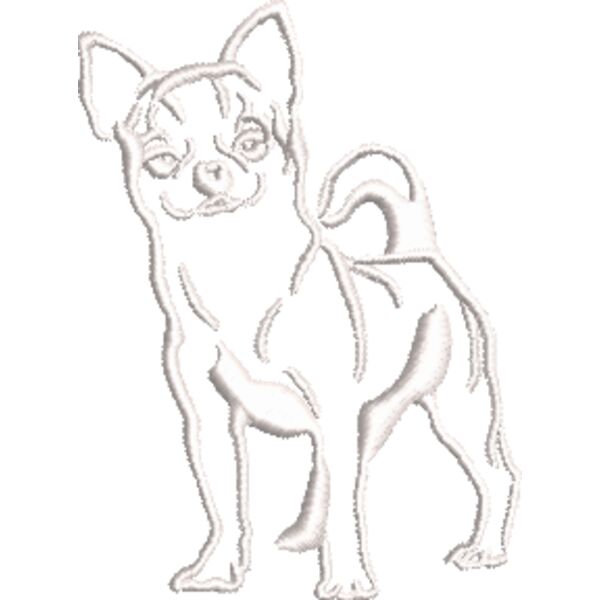 Chihuahua 2 Weiß Miniaturansicht