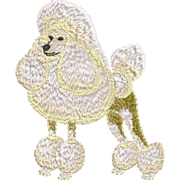 Pudel Miniaturansicht