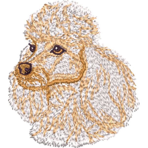 Pudel 1 Miniaturansicht