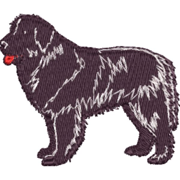 NEWFOUNDLAND Miniaturansicht