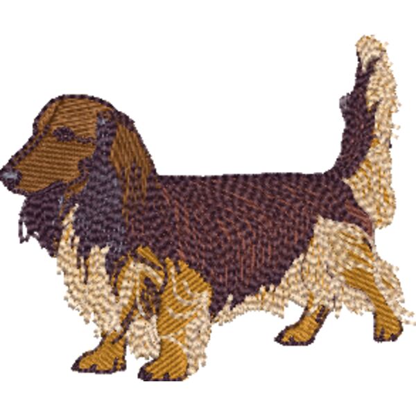 Langhaar Dackel Miniaturansicht