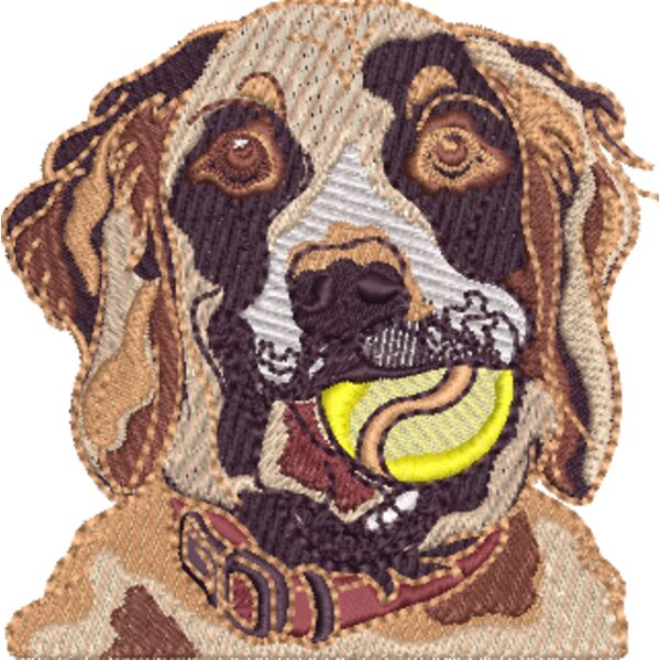 Golden Retriever 1 Miniaturansicht