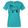 Frauen Premium T-Shirt E3005 Miniaturansicht